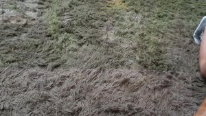 TeensLikeItBig: Latina Bambino POV blowjob