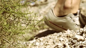 Pornstars Like It Big: Madison Ivy & Johnny Sins sex video